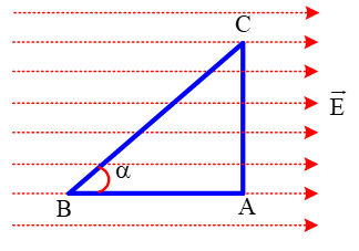 A blue triangle with black letters and a red line

AI-generated content may be incorrect.