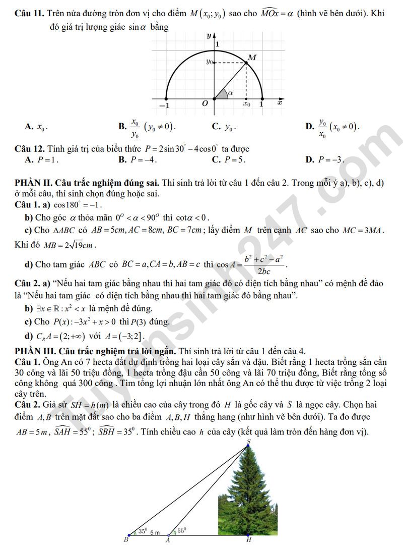 De giua ki 1 lop 10 mon Toan 2025 - THPT Ly Tu Trong