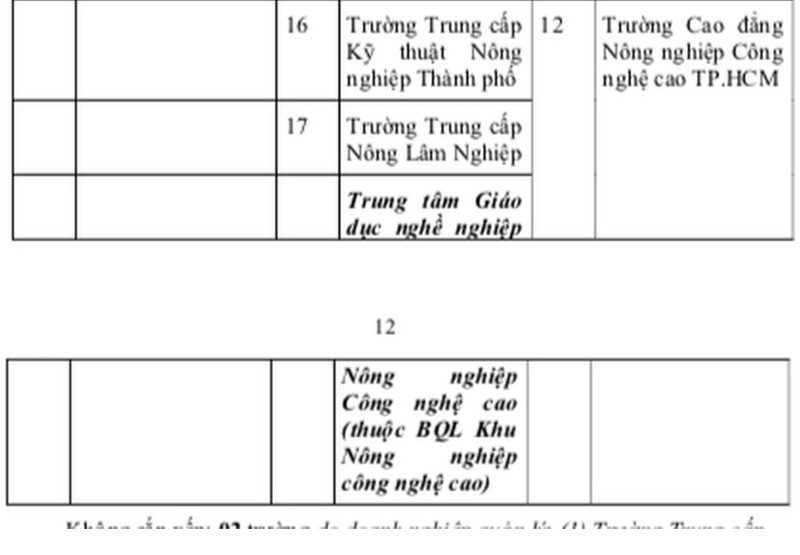 Phuong an sap xep truong cong lap o TPHCM, giu nguyen 2 truong dai hoc