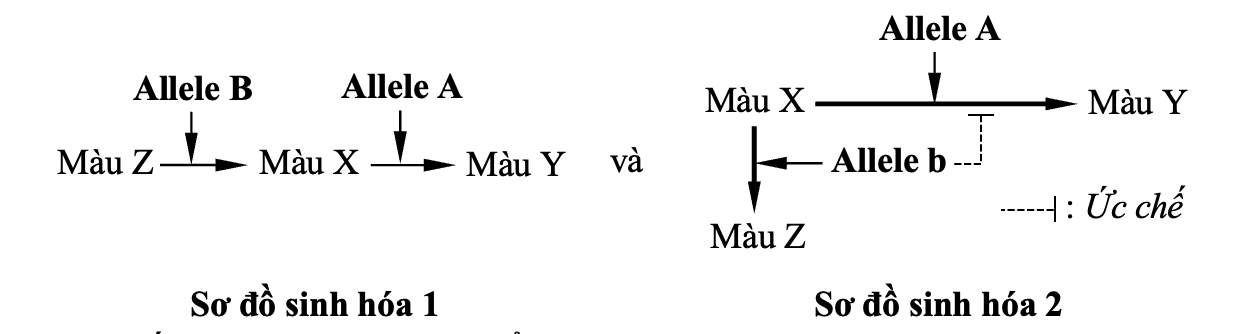 A diagram of a number of objects

AI-generated content may be incorrect.