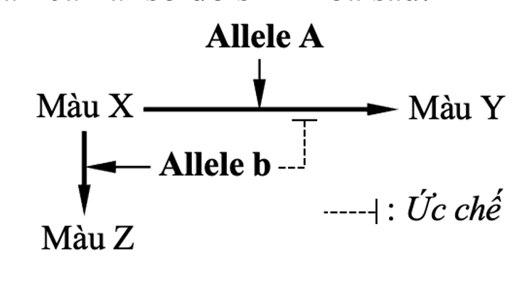 A diagram of a line with black text

AI-generated content may be incorrect.