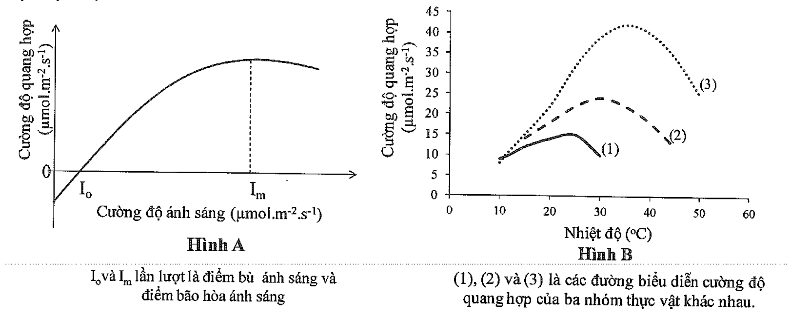 A diagram of a curve and a line

AI-generated content may be incorrect.