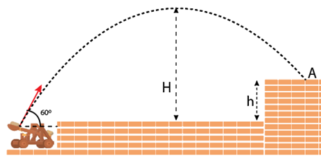 A diagram of a curved line

AI-generated content may be incorrect.