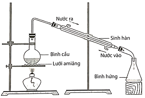Tiến hành thí nghiệm điều chế ethyl propionate (có mùi dứa ...