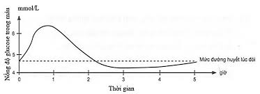 Đồ thị sau đây biểu diễn sự thay đổi về lượng glucose trong máu của một người sử dụng đồ uống có đường sau 8 giờ nhịn ăn: Khi sử dụng đồ