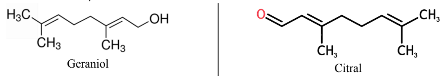 A red circle with a white background
Description automatically generated with medium confidence
