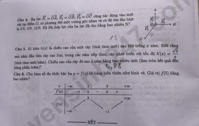 De thi ki 1 lop 12 mon Toan 2025 - So GD Bac Ninh