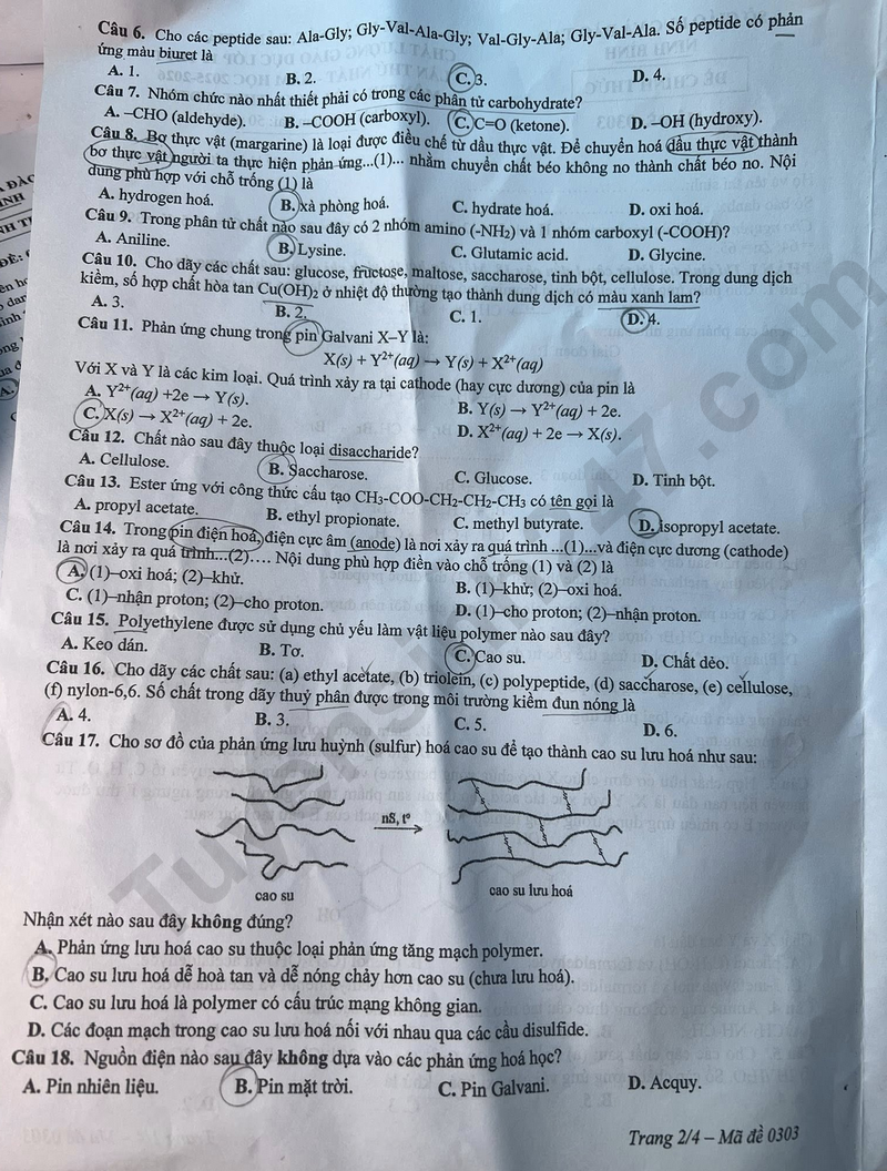 De thi ki 1 mon Hoa lop 12 nam 2025 - So GD Ninh Binh