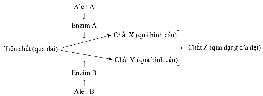 CAU-6 1 – Trung tâm Giáo dục Hoàng Long