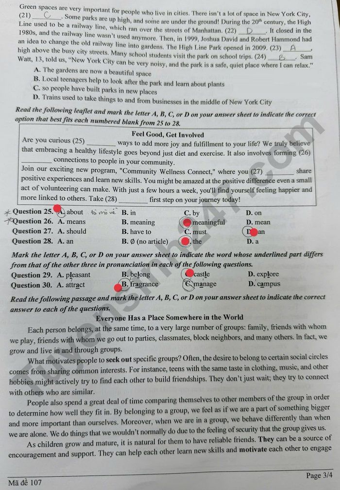 De thi hoc ki 1 mon Anh 9 THCS Ngo Si Lien 2025