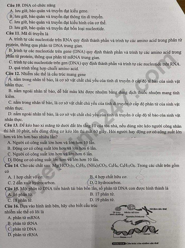 De thi cuoi ki 1 nam 2025 THCS Kim Dong - mon KHTN lop 9