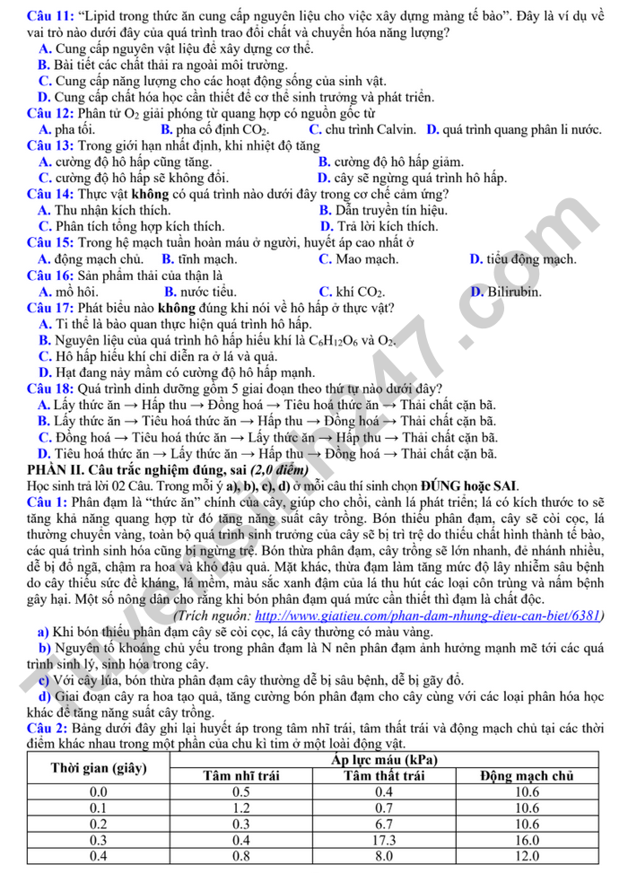 De thi cuoi ki 1 nam 2025 mon Sinh lop 11 - So GD Bac Ninh