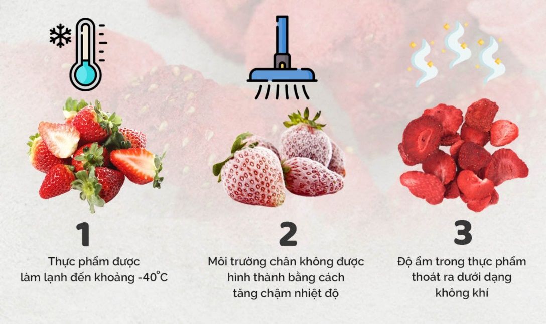 Công nghệ sấy thăng hoa là gì? Cách hoạt động và lợi ích không ngờ