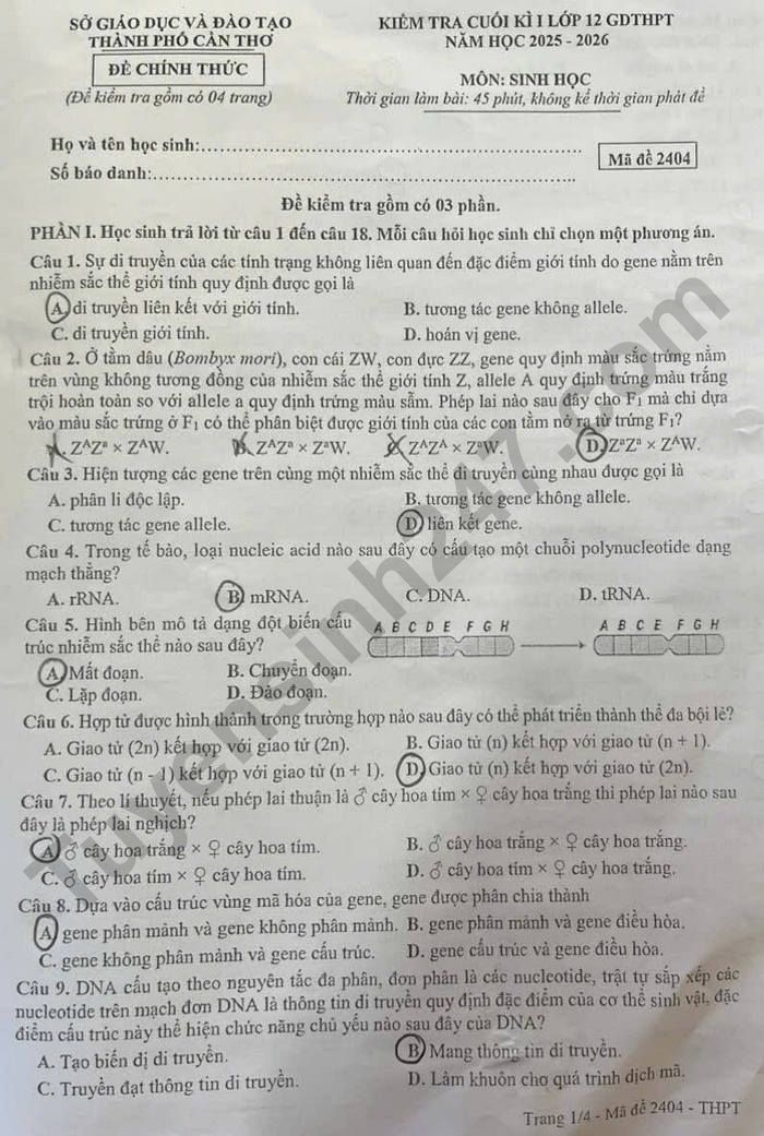 De thi hoc ki 1 lop 12 mon Sinh 2025 - TP Can Tho