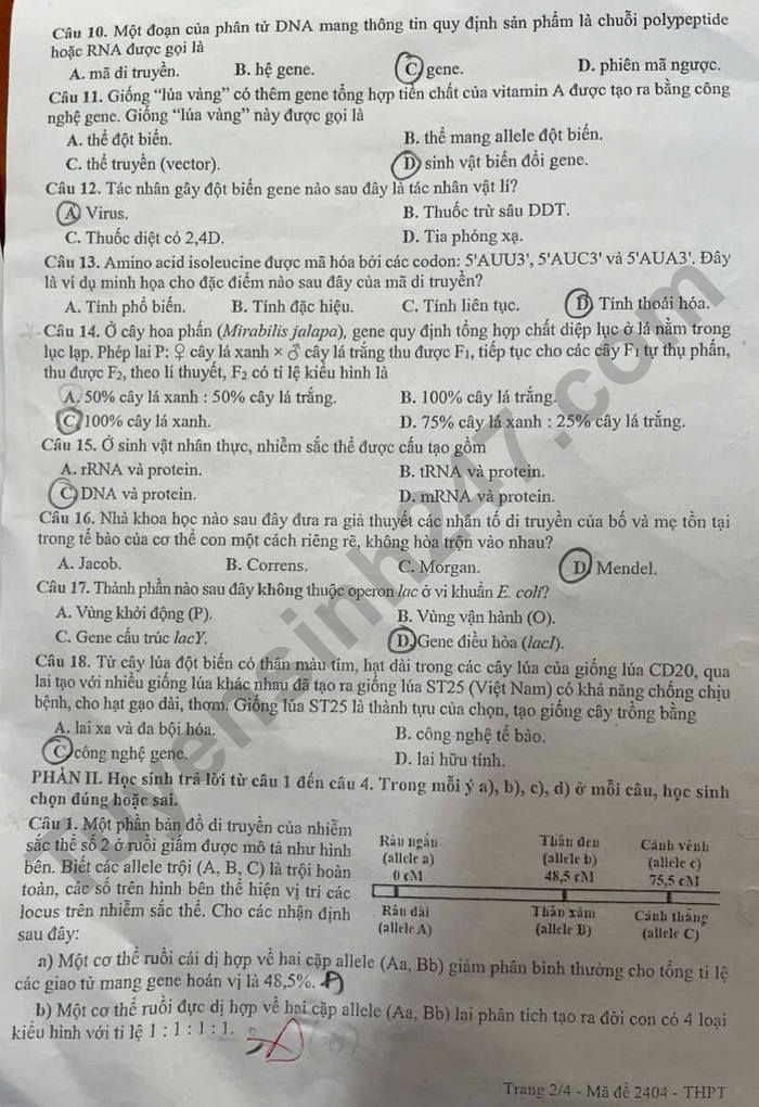 De thi hoc ki 1 lop 12 mon Sinh 2025 - TP Can Tho