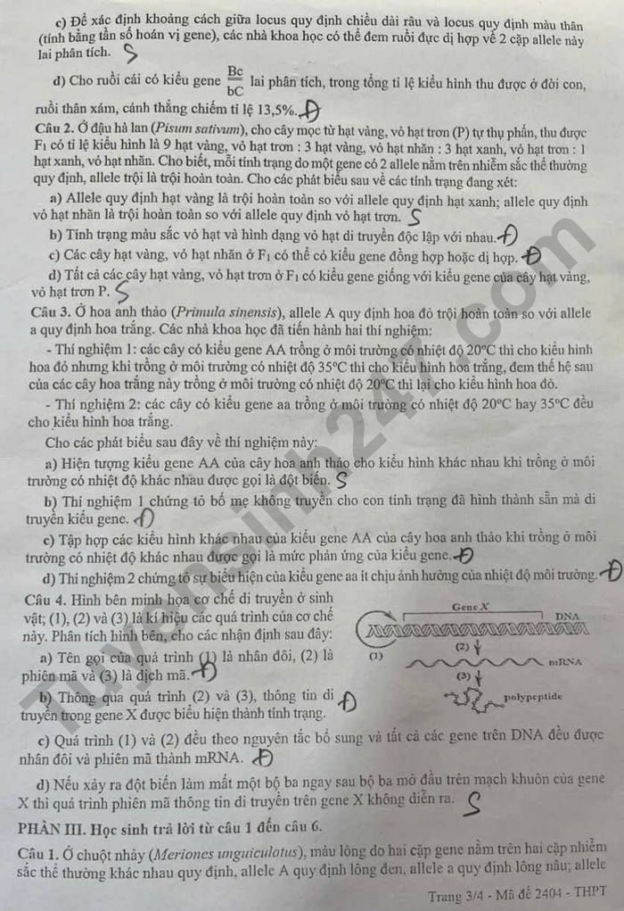 De thi hoc ki 1 lop 12 mon Sinh 2025 - TP Can Tho