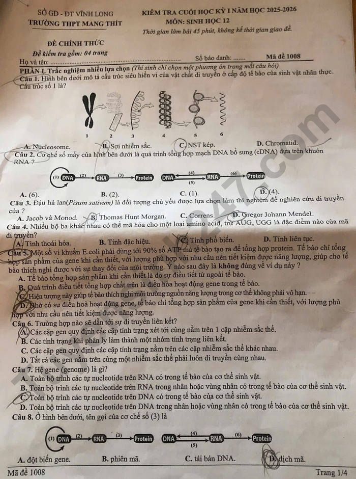 De thi cuoi ki 1 mon Sinh lop 12 THPT Mang Thit 2025