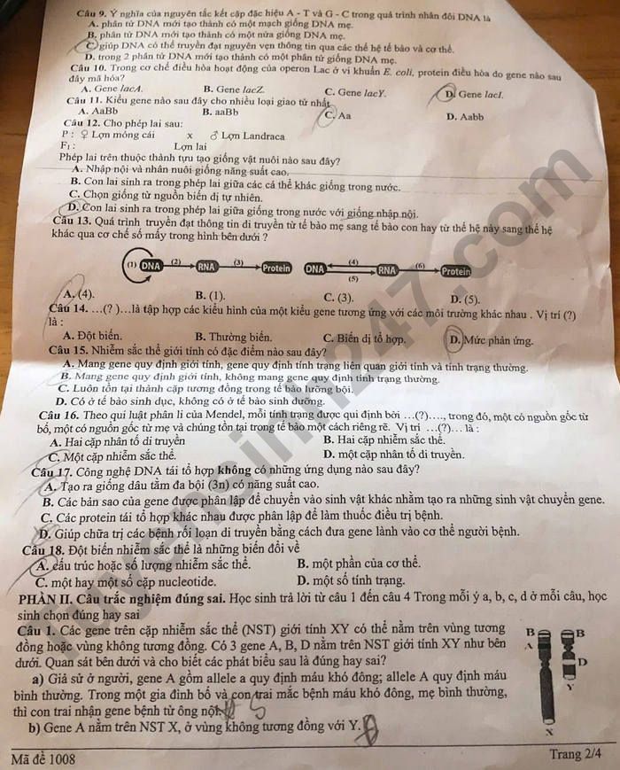 De thi cuoi ki 1 mon Sinh lop 12 THPT Mang Thit 2025