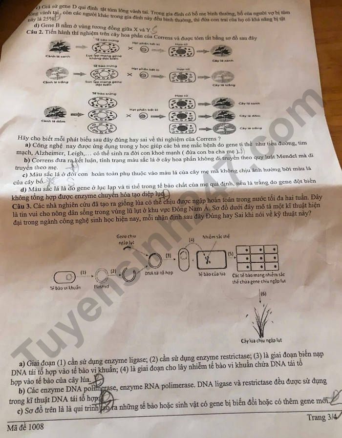 De thi cuoi ki 1 mon Sinh lop 12 THPT Mang Thit 2025