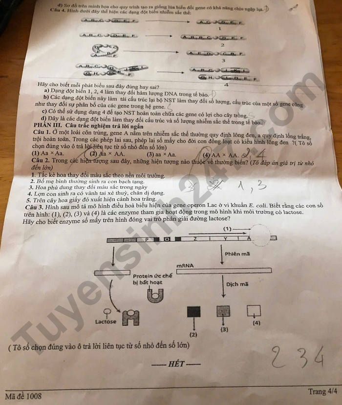 De thi cuoi ki 1 mon Sinh lop 12 THPT Mang Thit 2025