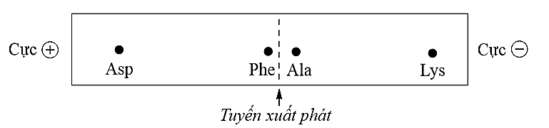 A black and white diagram with black text

Description automatically generated