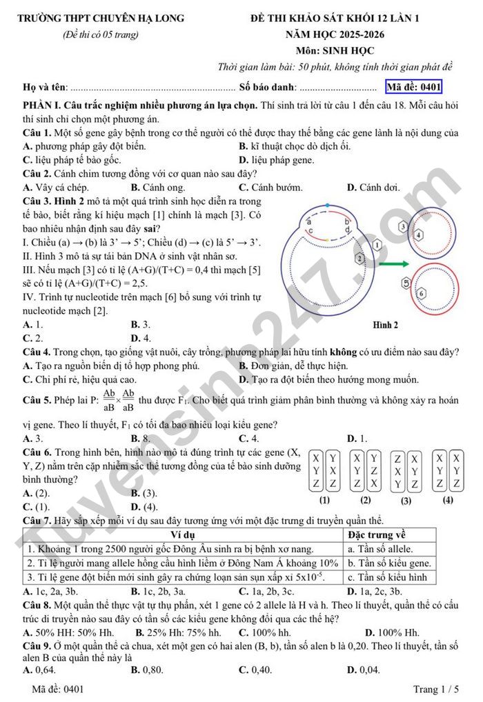 De thi thu tot nghiep THPT 2026 mon Sinh - THPT Chuyen Ha Long lan 1