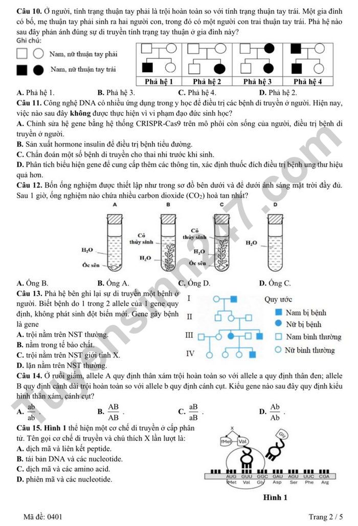 De thi thu tot nghiep THPT 2026 mon Sinh - THPT Chuyen Ha Long lan 1