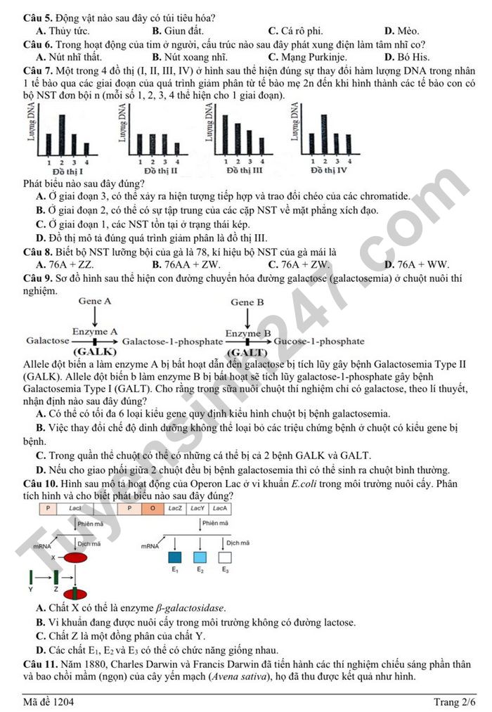 De thi thu tot nghiep THPT 2026 mon Sinh - Cum truong THPT Nghe An