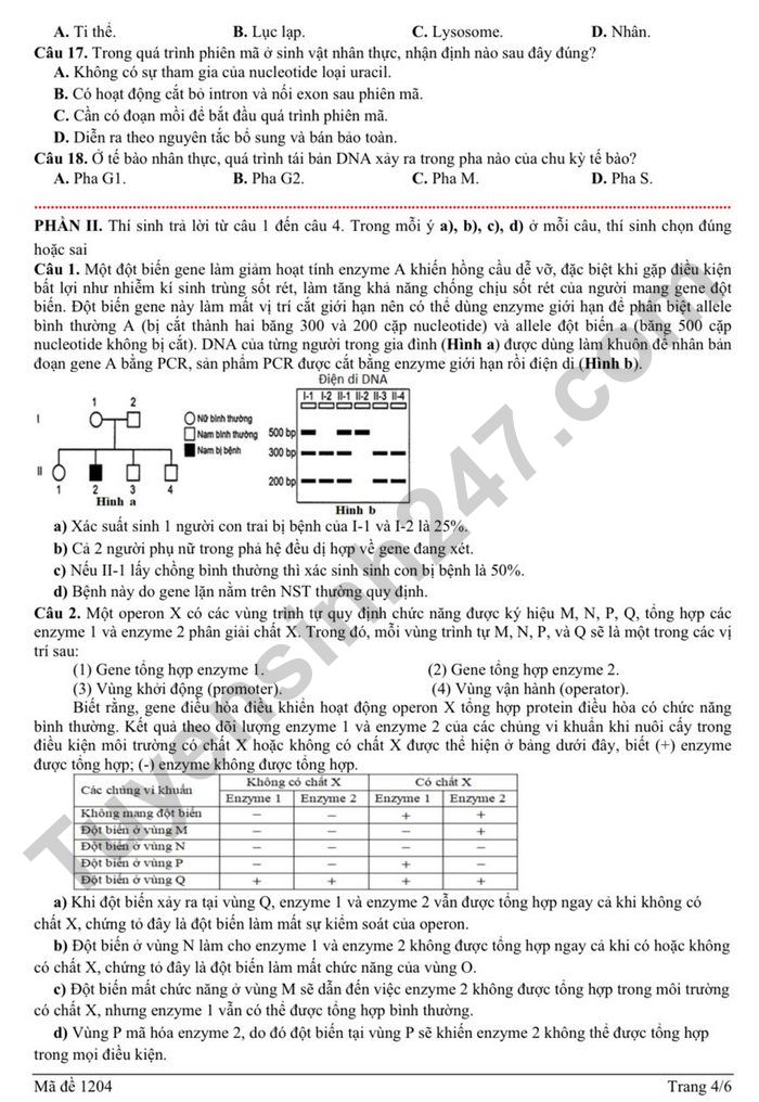 De thi thu tot nghiep THPT 2026 mon Sinh - Cum truong THPT Nghe An