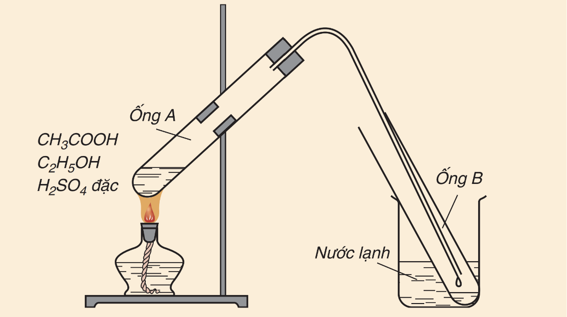 Tiến hành thí nghiệm và thảo luận