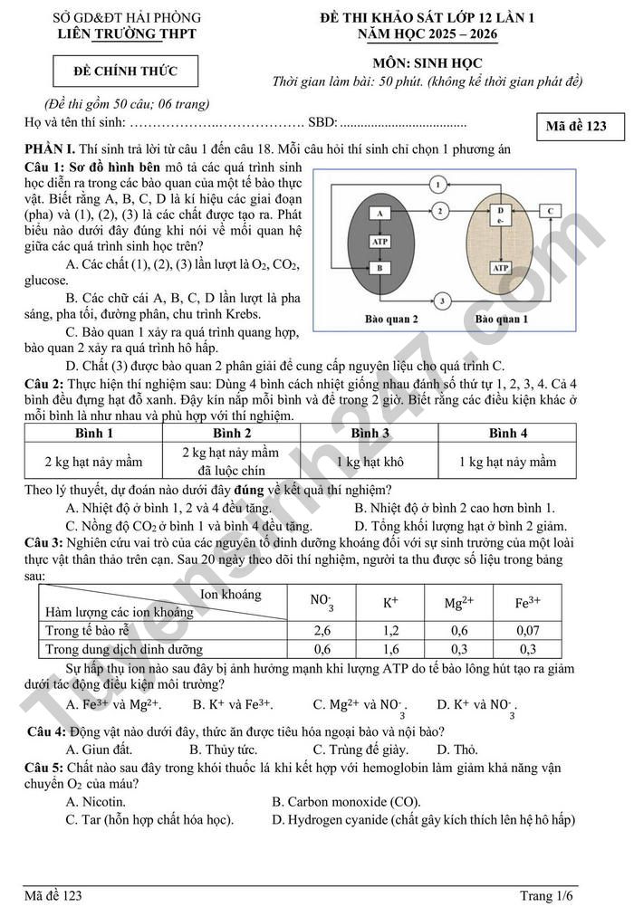 De thi thu TN THPT mon Sinh 2026 lan 1 - Lien truong THPT Hai Phong