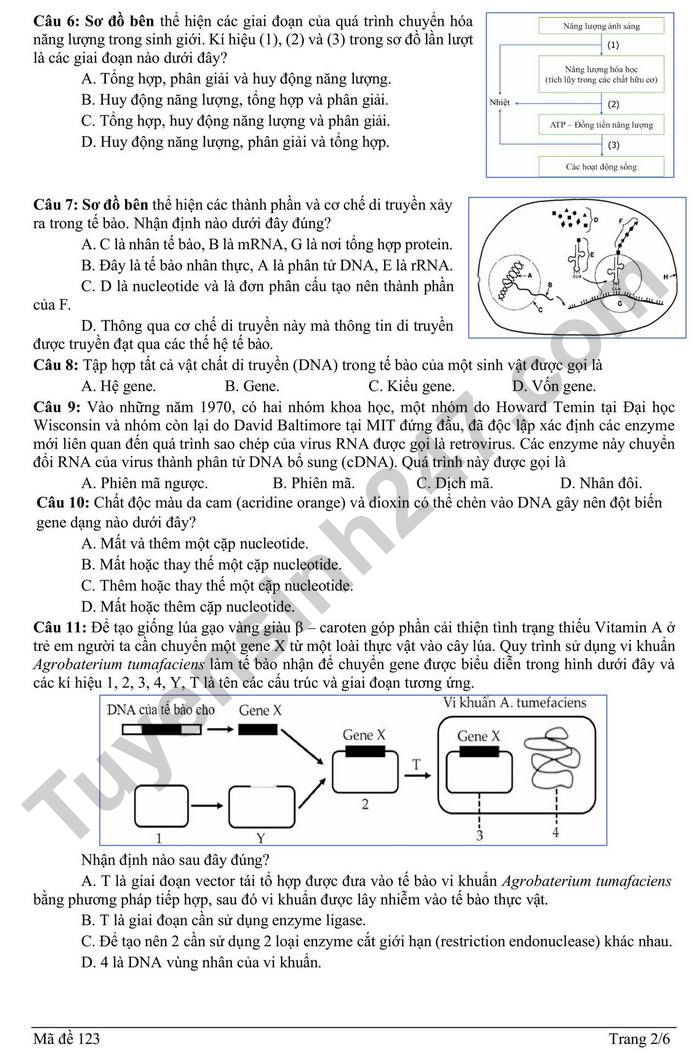 De thi thu TN THPT mon Sinh 2026 lan 1 - Lien truong THPT Hai Phong