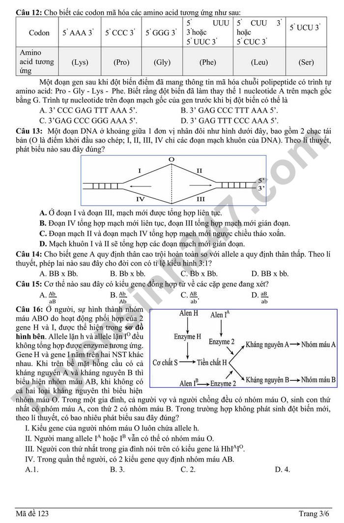 De thi thu TN THPT mon Sinh 2026 lan 1 - Lien truong THPT Hai Phong