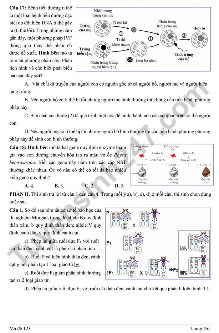 De thi thu TN THPT mon Sinh 2026 lan 1 - Lien truong THPT Hai Phong