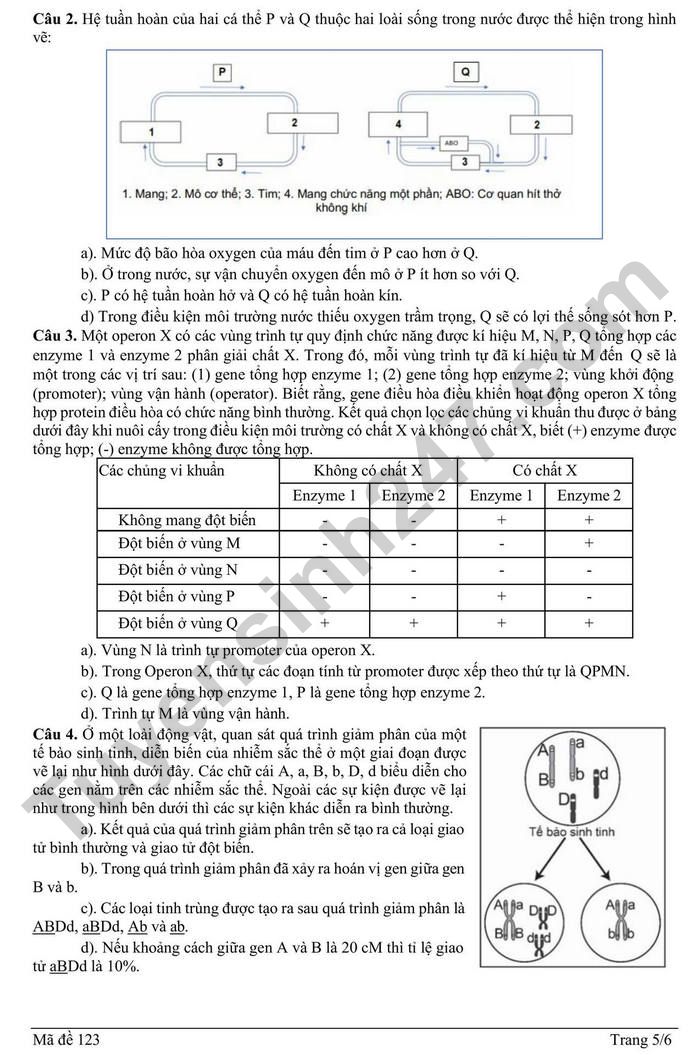 De thi thu TN THPT mon Sinh 2026 lan 1 - Lien truong THPT Hai Phong