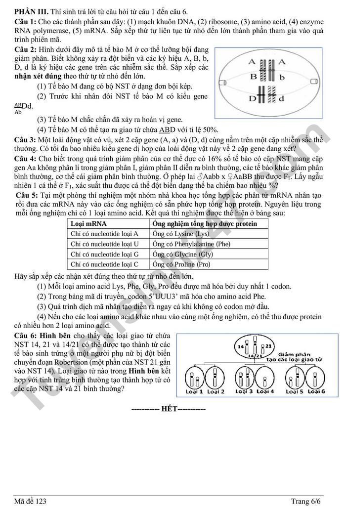 De thi thu TN THPT mon Sinh 2026 lan 1 - Lien truong THPT Hai Phong