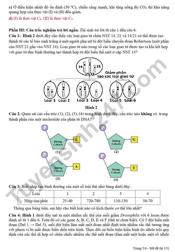 De thi thu mon Sinh tot nghiep THPT 2026 - THPT Cam Pha (lan 1)