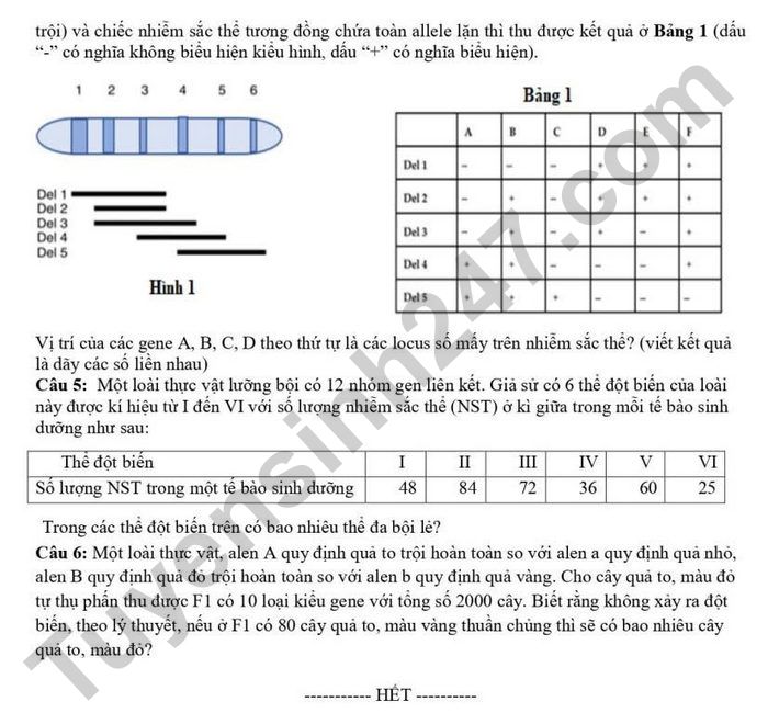 De thi thu mon Sinh tot nghiep THPT 2026 - THPT Cam Pha (lan 1)
