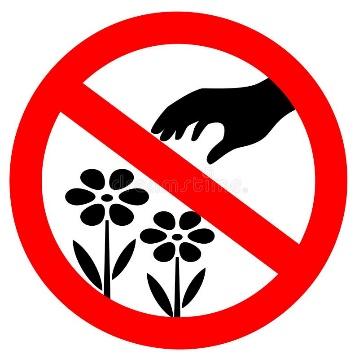 Do Not Pick Flowers Sign Stock Illustrations – 33 Do Not Pick Flowers Sign Stock Illustrations, Vectors & Clipart - Dreamstime