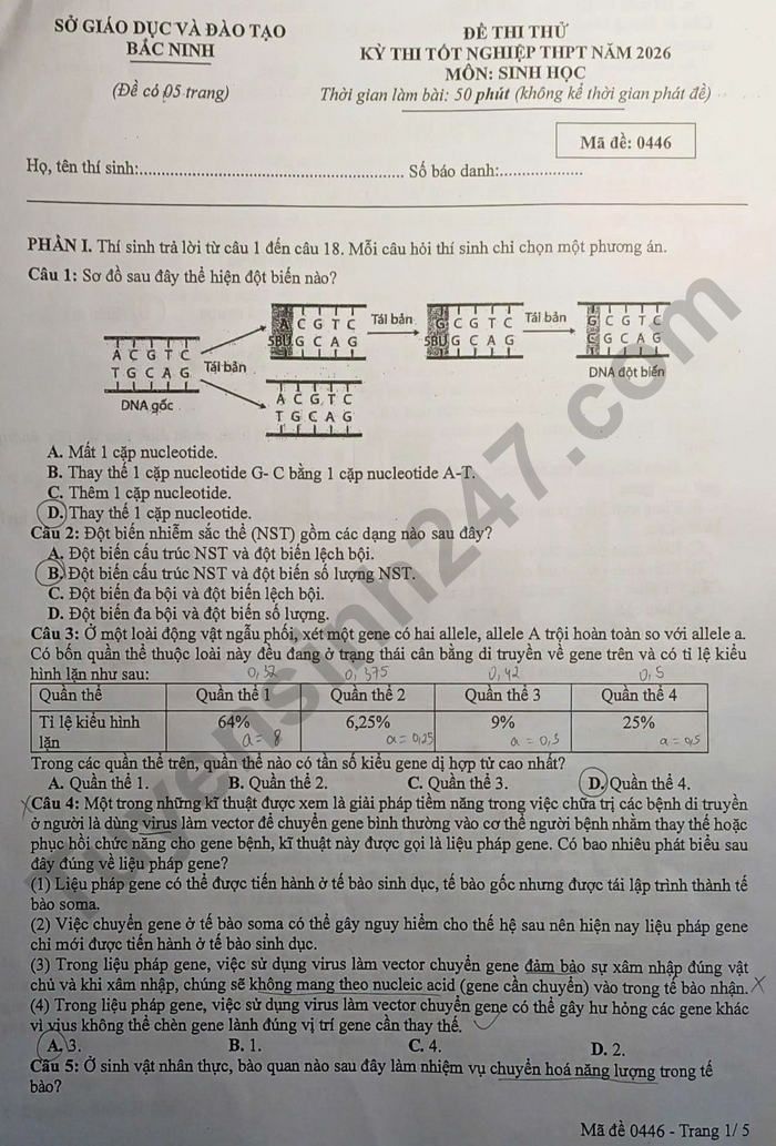 De thi thu tot nghiep THPT 2026 So GDDT Bac Ninh - mon Sinh