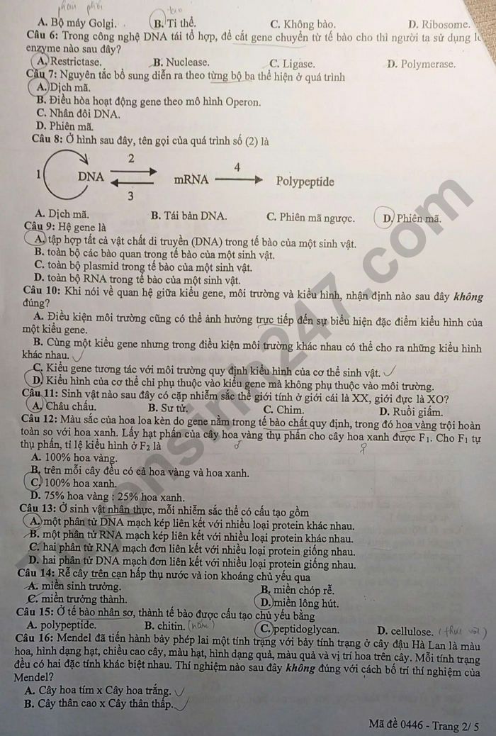 De thi thu tot nghiep THPT 2026 So GDDT Bac Ninh - mon Sinh