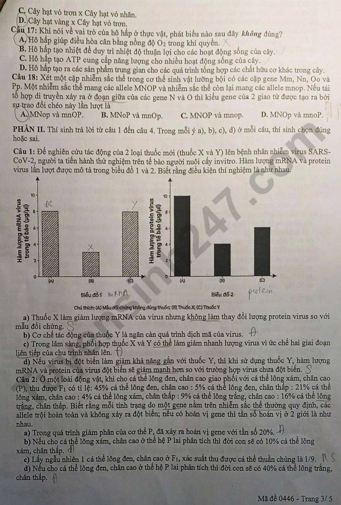 De thi thu tot nghiep THPT 2026 So GDDT Bac Ninh - mon Sinh
