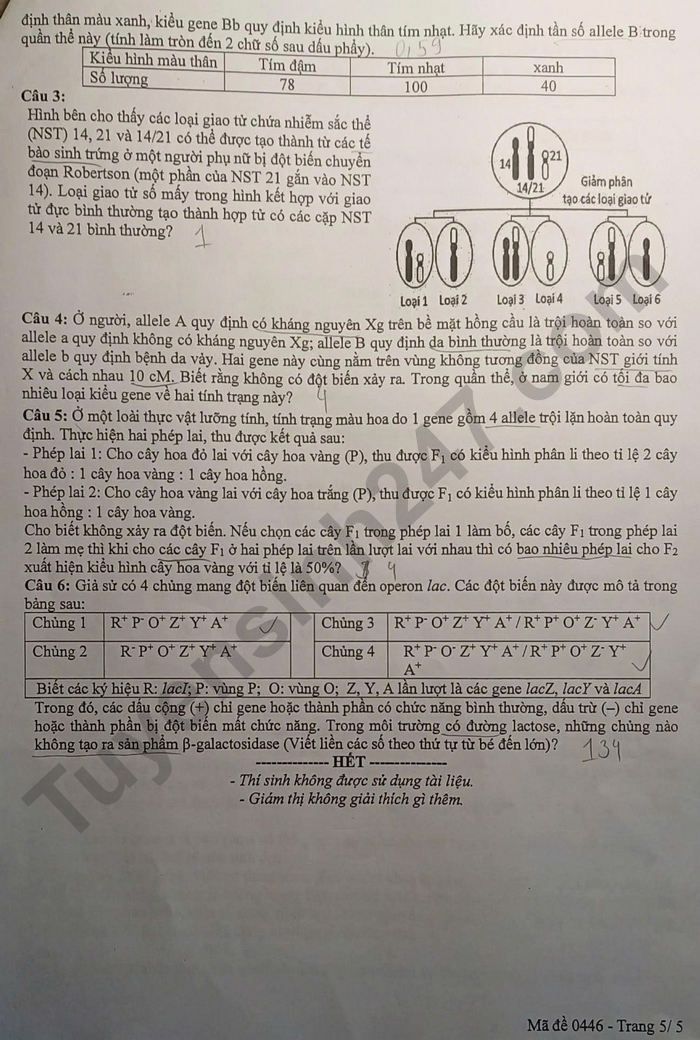 De thi thu tot nghiep THPT 2026 So GDDT Bac Ninh - mon Sinh