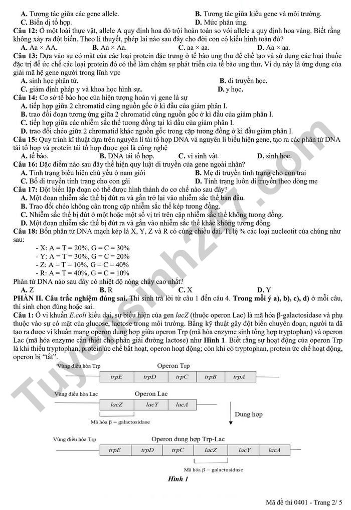 De thi thu tot nghiep THPT mon Sinh 2026 - THPT so 2 Nguyen Binh Khiem (lan 1)