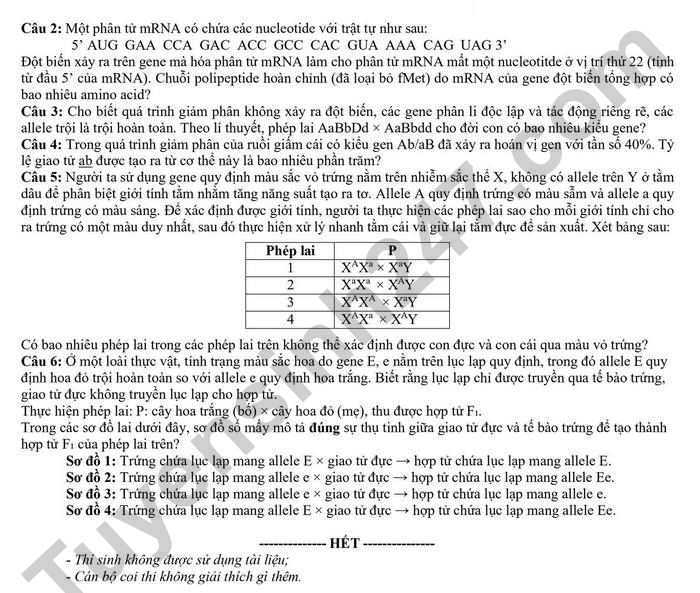 De thi thu tot nghiep THPT mon Sinh 2026 - THPT so 2 Nguyen Binh Khiem (lan 1)