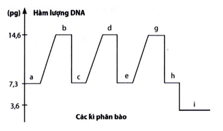 Phân tích hàm lượng DNA trong một tế bào qua các kiểu phân bào và qua các kì phân bào người ta vẽ được đồ thị dưới đây: a. Xác định a,