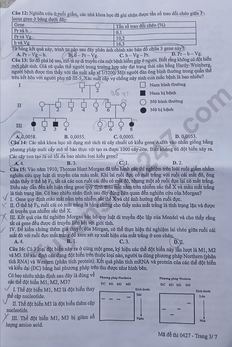 De thi thu tot nghiep THPT mon Sinh 2026 - Chuyen DH Vinh lan 1