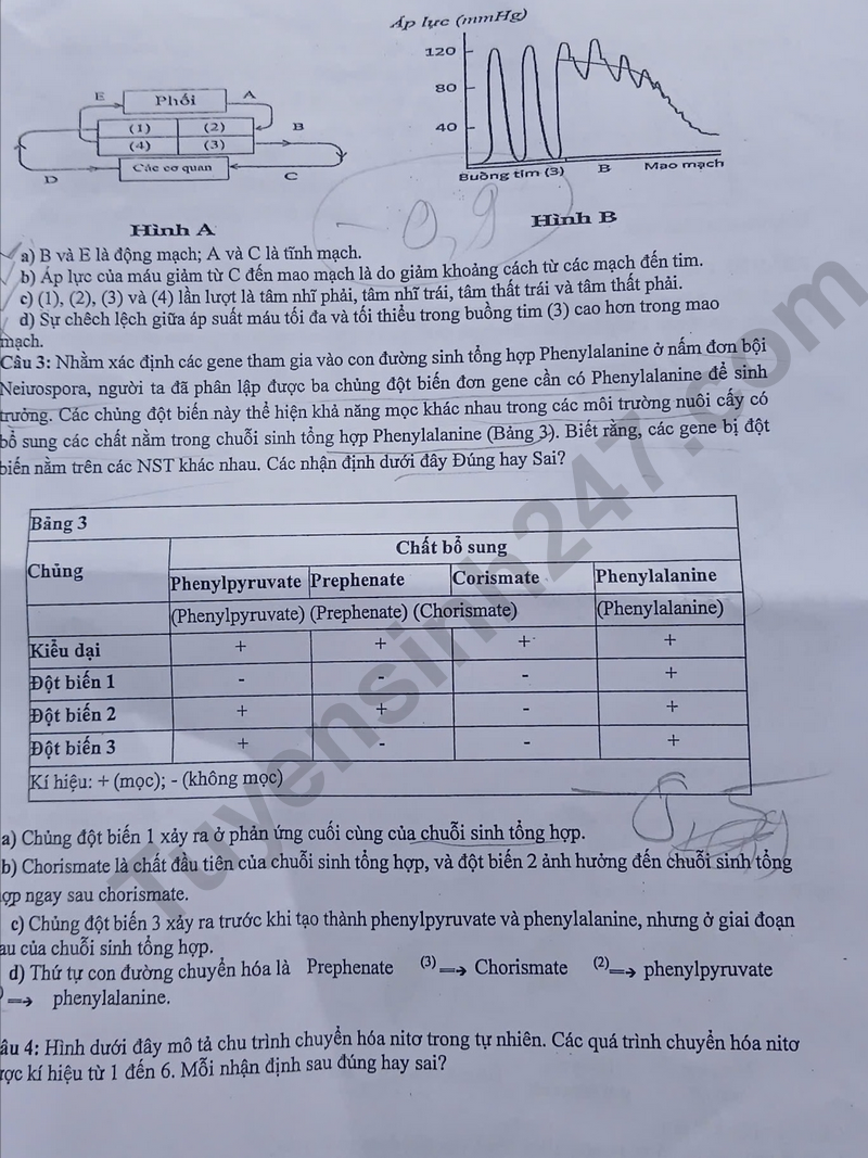 De thi thu tot nghiep THPT mon Sinh 2026 - Chuyen DH Vinh lan 1