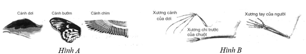 A person with a black and white background

Description automatically generated with medium confidence