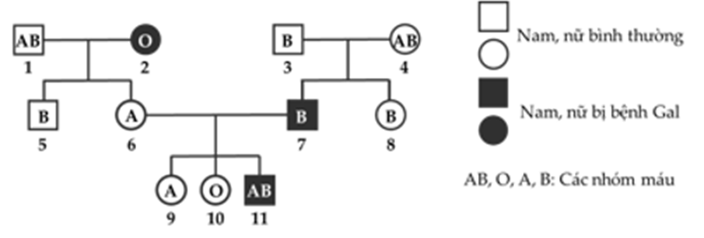 Phả hệ sau mô tả sự di truyền của tính trạng nhóm máu hệ ABO ...